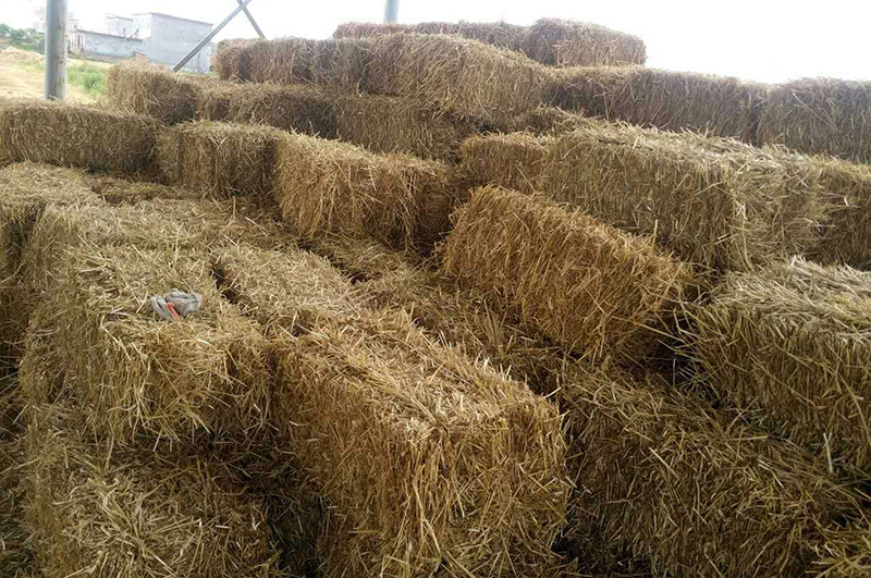 小麥秸稈-連續(xù)式炭化爐物料