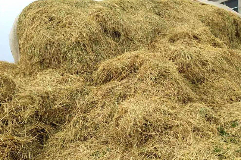 農(nóng)作物秸稈-連續(xù)式炭化爐物料