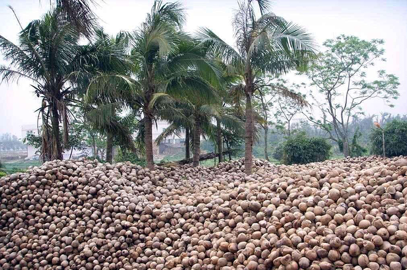 椰殼-連續(xù)式炭化爐物料