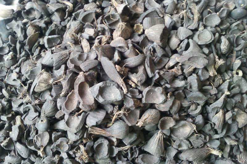 棕櫚殼-連續(xù)式炭化爐物料