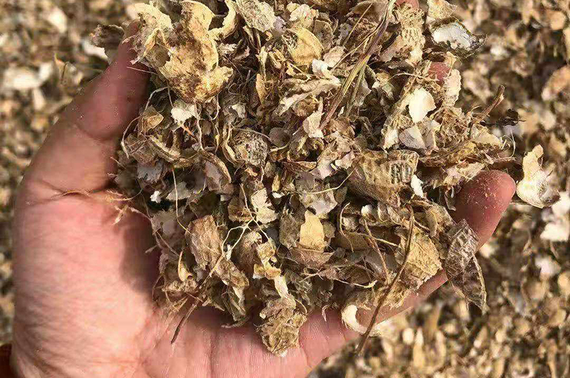 花生殼-連續(xù)式炭化爐物料