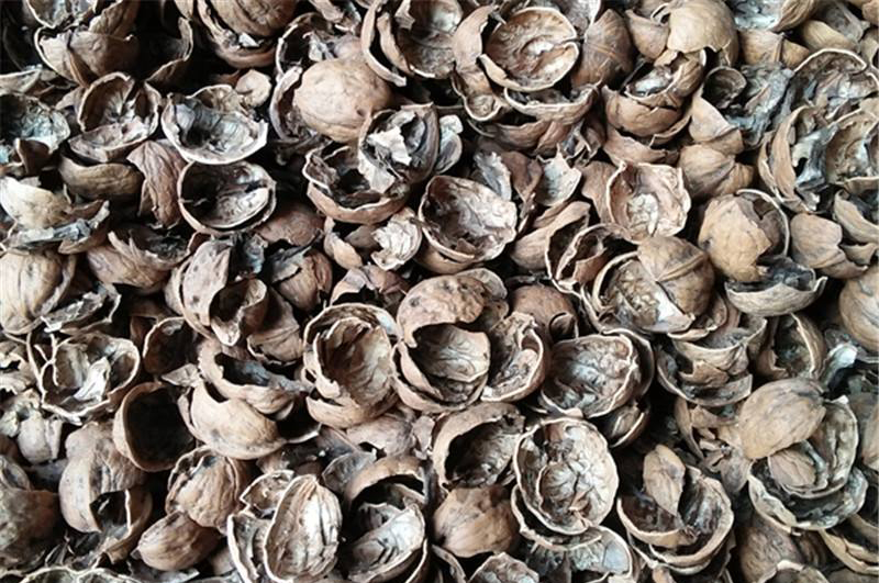 核桃殼-連續(xù)式炭化爐物料