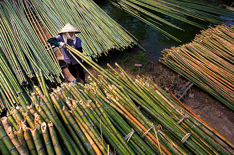 竹子連續(xù)式炭化爐物料