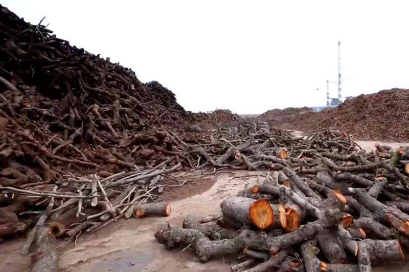 樹(shù)枝連續(xù)式炭化爐物料