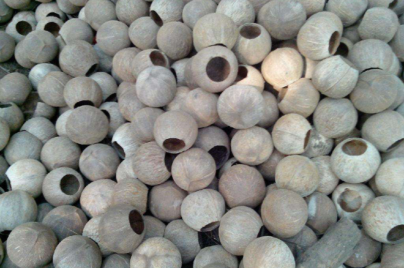 椰殼回收做燃料和炭粉哪種價(jià)值更高？