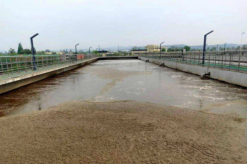 城市生活污泥處理工程成本高嗎，能有利潤嗎？