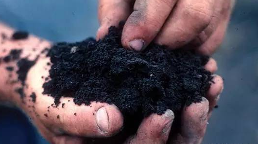 像桉樹皮，杉木皮這樣的原料，空隙大，重量輕，適用于深加工制作活性炭等。