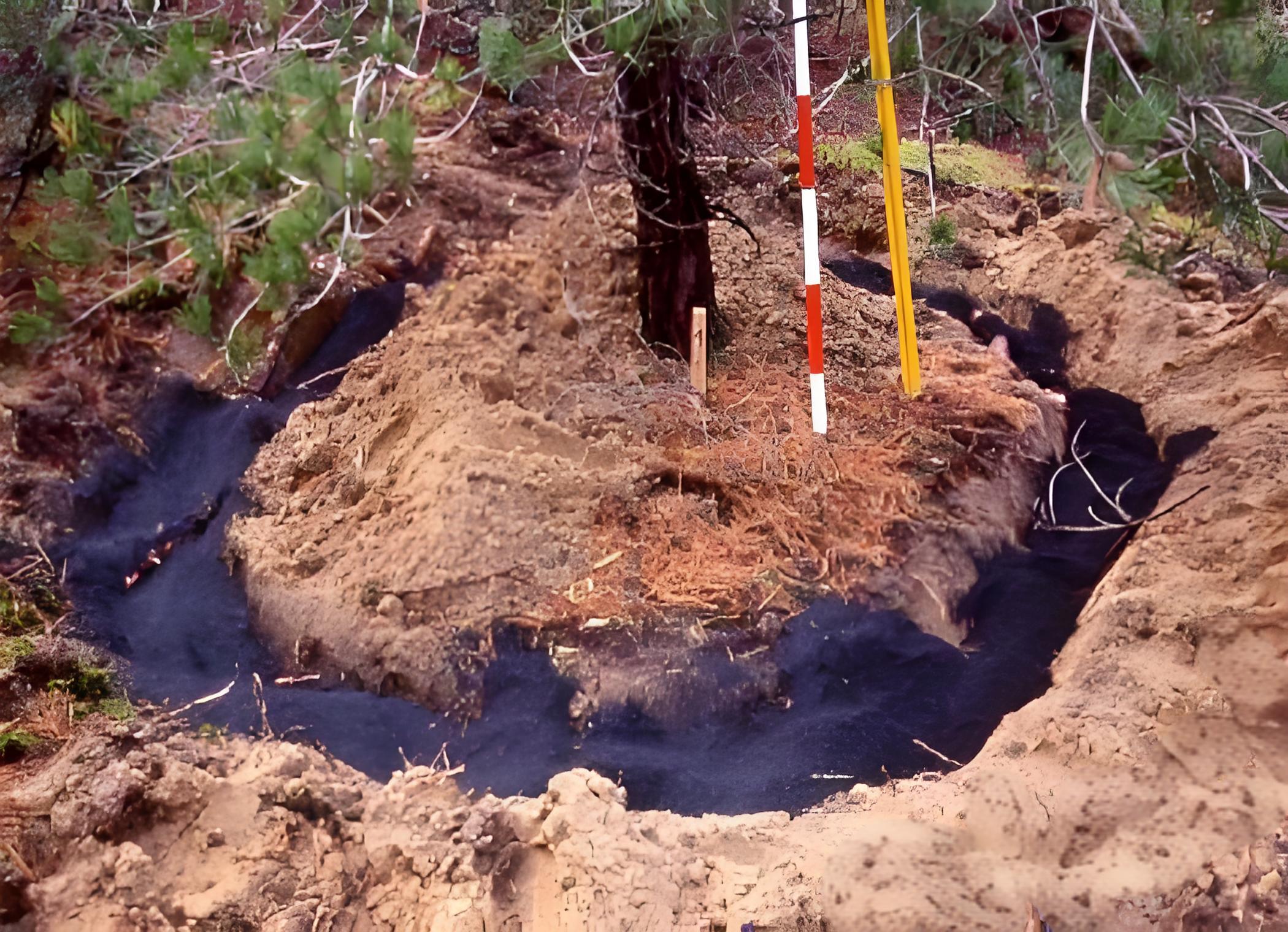 <strong>生物質(zhì)炭化爐制作活性炭，用于土壤改良</strong>