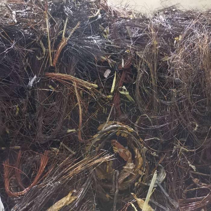 <strong>讓廢棄漆包線重?zé)ㄉ鷻C——連續(xù)式脫漆技術(shù)的應(yīng)用</strong>